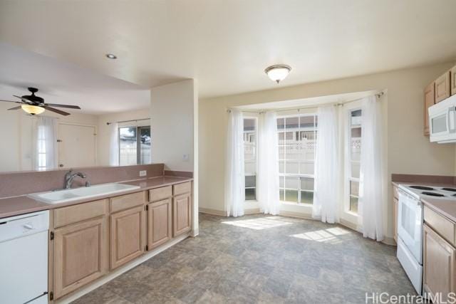 kitchen with ceiling fan, white appliances, light brown cabinetry, and sink