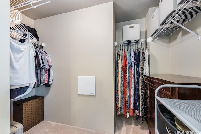 spacious closet featuring carpet floors