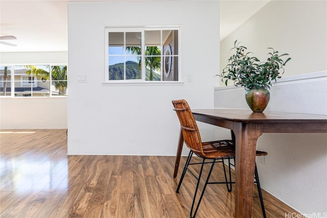 dining room featuring hardwood / wood-style flooring