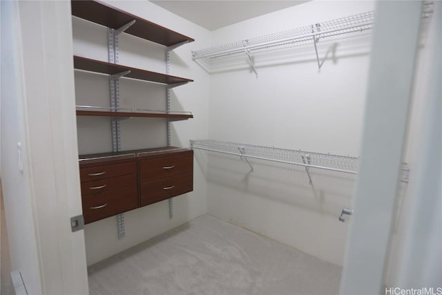 view of walk in closet