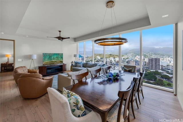 dining area with expansive windows, ceiling fan, a raised ceiling, and light wood-type flooring