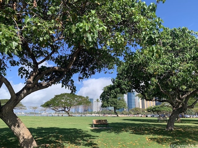 view of home's community with a yard