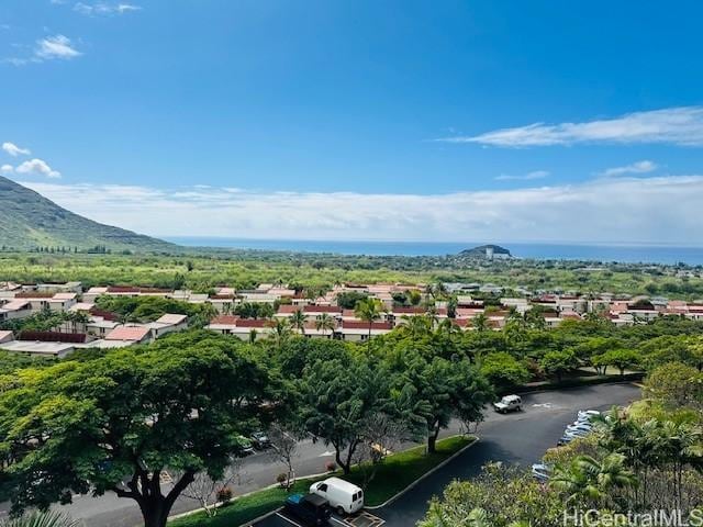 bird's eye view with a mountain view