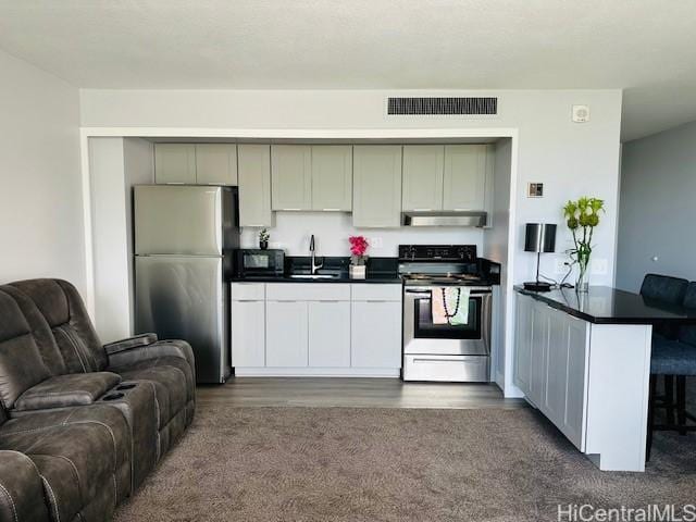 kitchen featuring appliances with stainless steel finishes, sink, and dark carpet