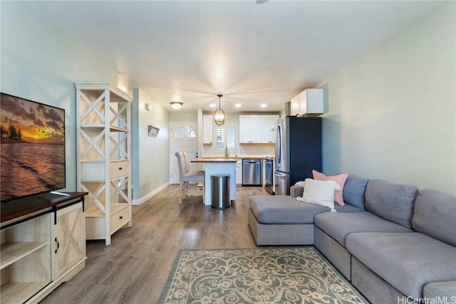 living room with hardwood / wood-style flooring