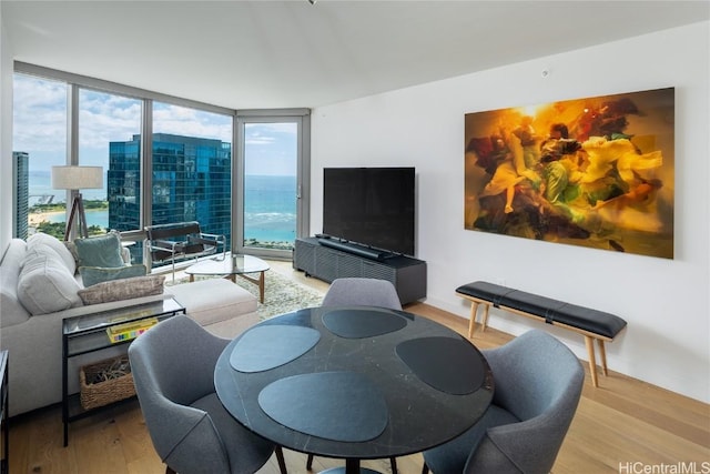 living room featuring floor to ceiling windows and light hardwood / wood-style flooring