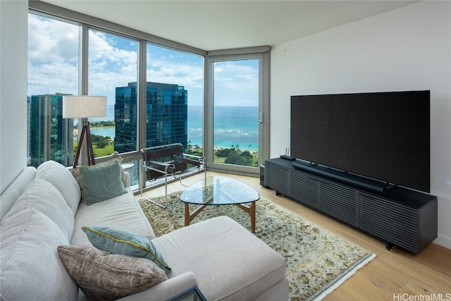 living room featuring hardwood / wood-style flooring and floor to ceiling windows