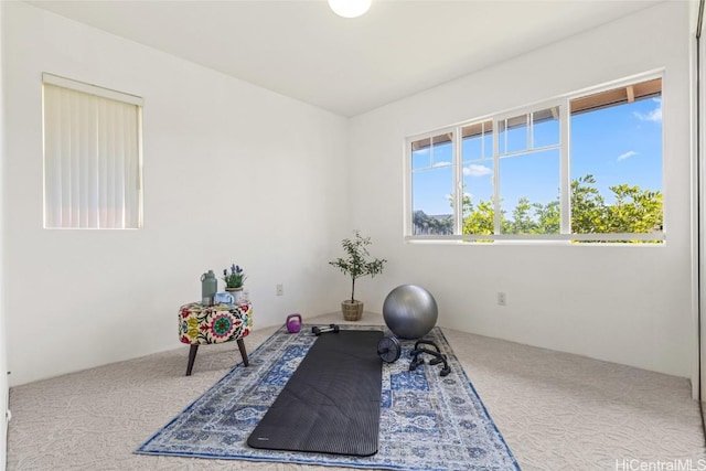 exercise room featuring carpet floors