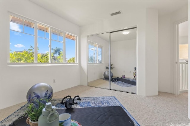 workout area featuring carpet and visible vents