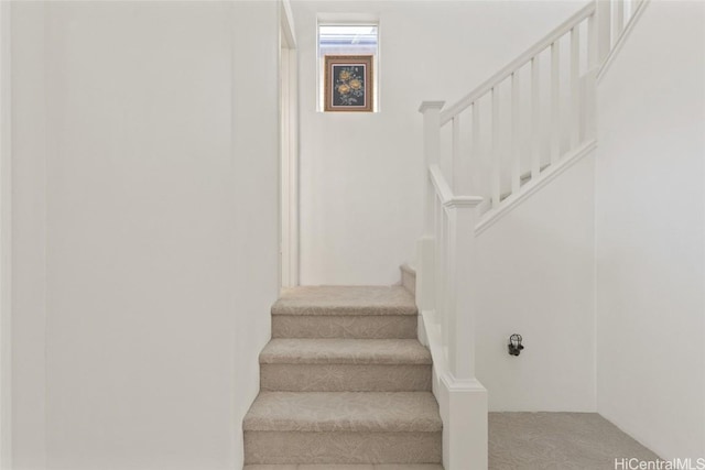 stairs with carpet flooring