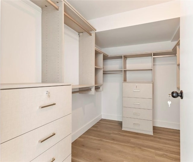 walk in closet featuring light wood finished floors