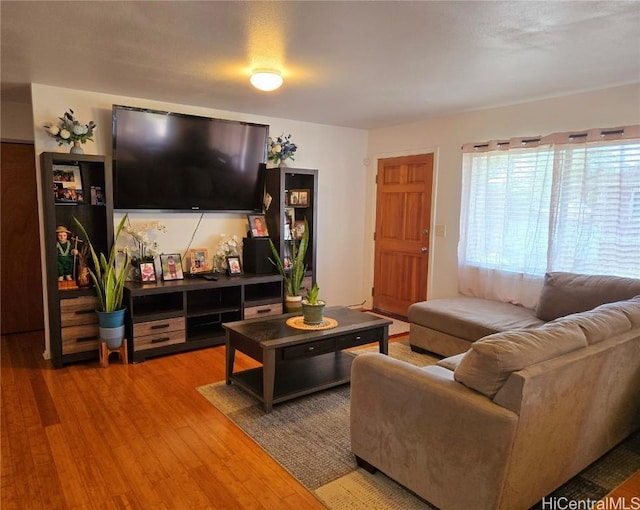 living room with hardwood / wood-style flooring and plenty of natural light