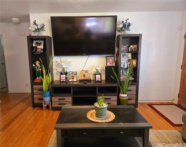 living room featuring light wood-type flooring