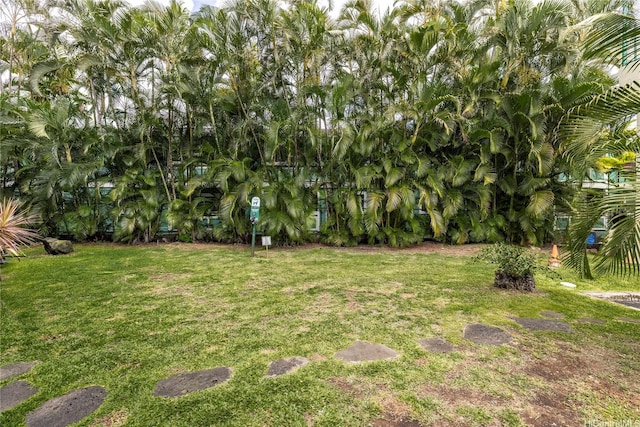 1020 Aoloa Pl Unit 109B, Kailua, HI 96734 - view of yard
