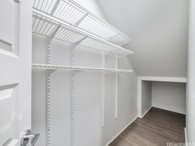 walk in closet with lofted ceiling and dark hardwood / wood-style flooring