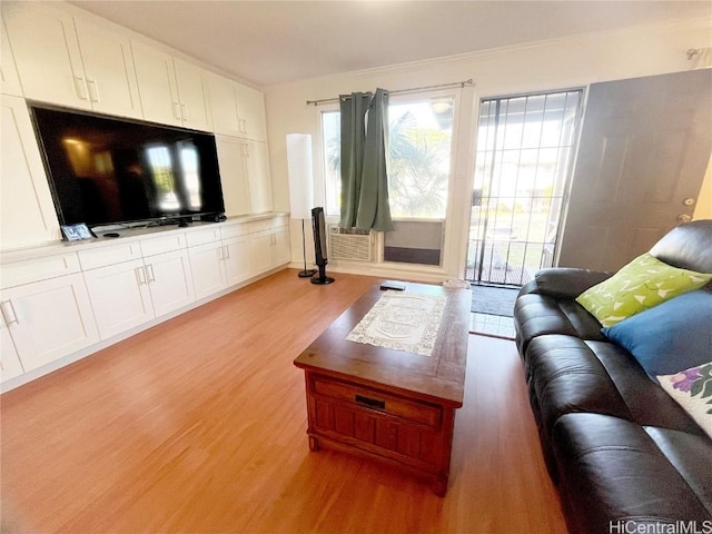 living room with light hardwood / wood-style flooring