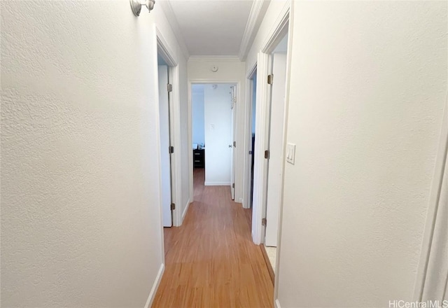 hallway with crown molding and light wood-type flooring