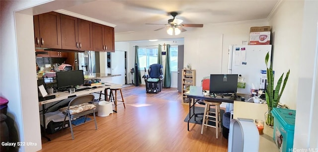 office area with ornamental molding, ceiling fan, and light wood-type flooring