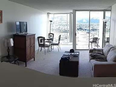 carpeted living room with expansive windows