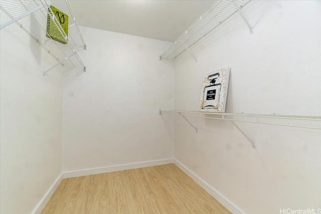 spacious closet with wood-type flooring