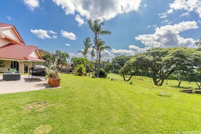 view of yard featuring a patio area