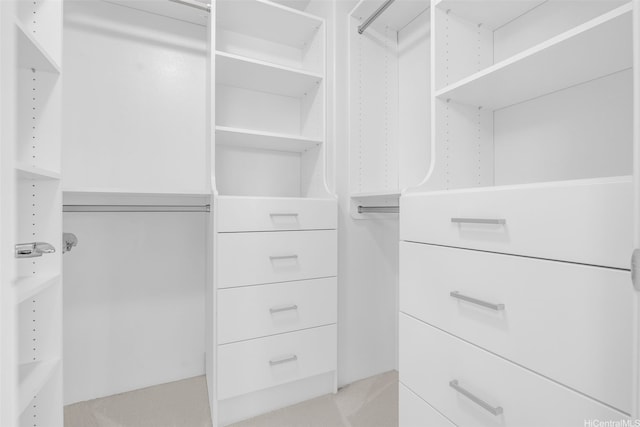 view of walk in closet