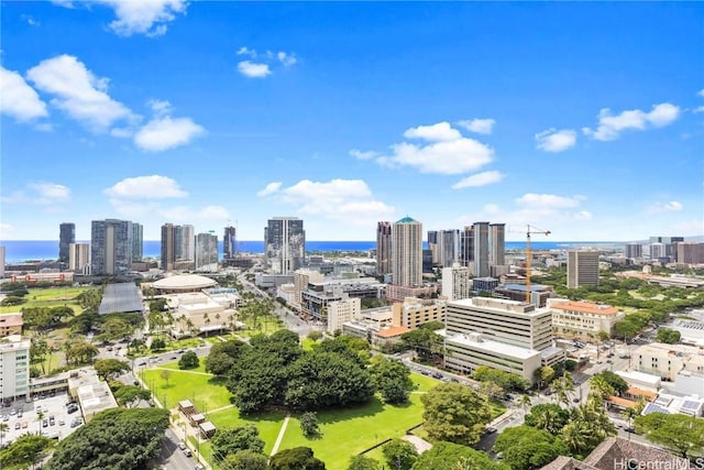 drone / aerial view featuring a city view