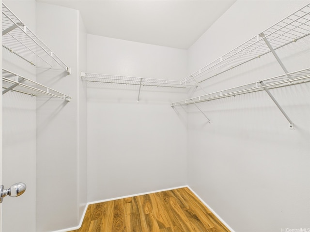 walk in closet with wood finished floors