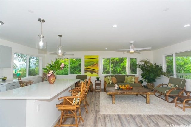 kitchen featuring plenty of natural light, a kitchen bar, hanging light fixtures, and light hardwood / wood-style flooring