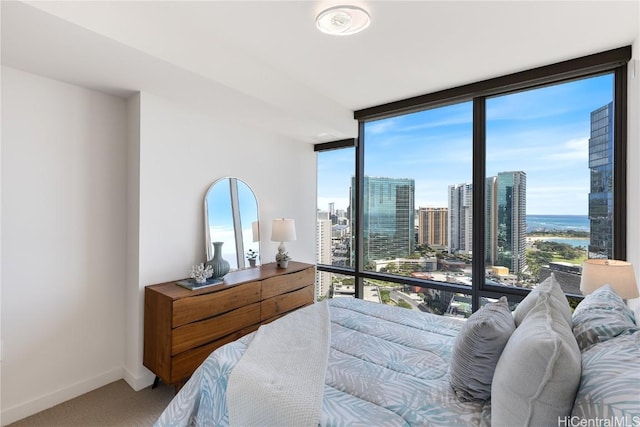 carpeted bedroom with a wall of windows, a city view, and baseboards