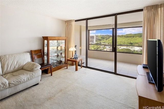 carpeted living area featuring a textured ceiling