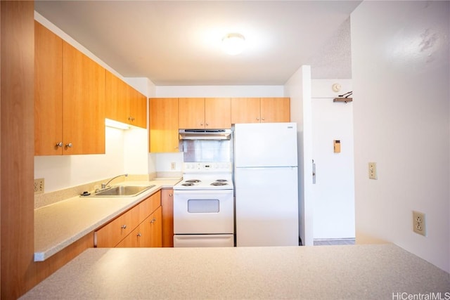 kitchen featuring sink and white appliances