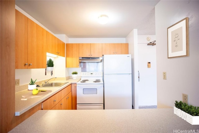 kitchen with sink and white appliances