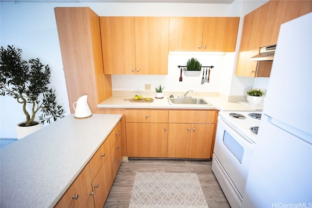 kitchen with white appliances, sink, and light wood-type flooring