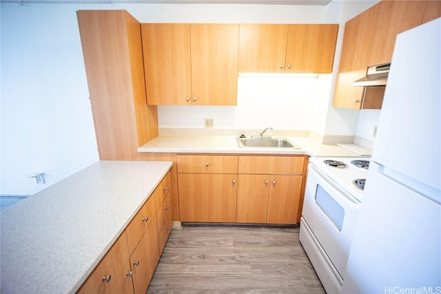 kitchen with white appliances, light hardwood / wood-style floors, and sink