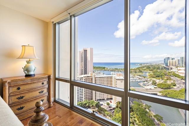 interior space with hardwood / wood-style flooring and a water view