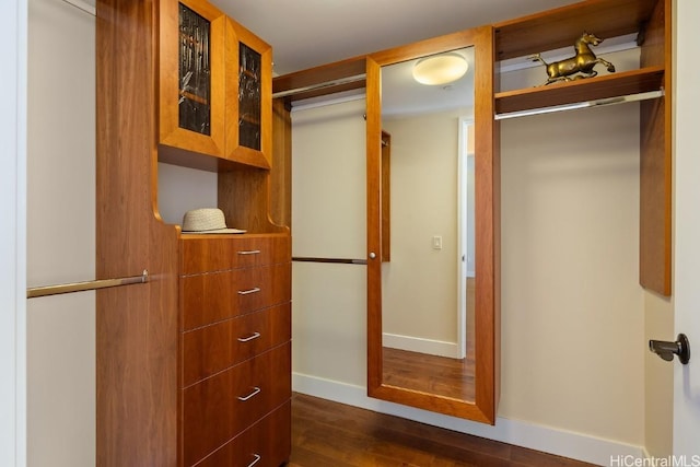 walk in closet with dark hardwood / wood-style floors