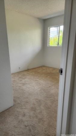 unfurnished room featuring light carpet and a textured ceiling