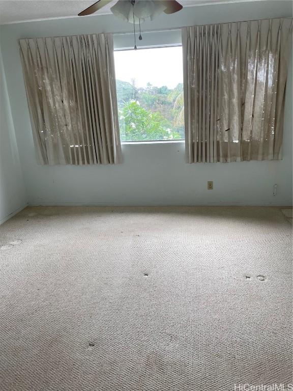 carpeted empty room featuring ceiling fan