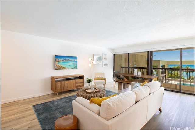 living room with hardwood / wood-style floors and a textured ceiling