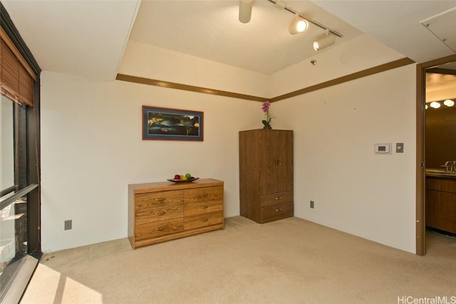 bedroom featuring sink, light carpet, and track lighting