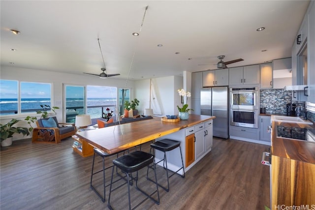 kitchen with dark wood-style floors, appliances with stainless steel finishes, a water view, and gray cabinets