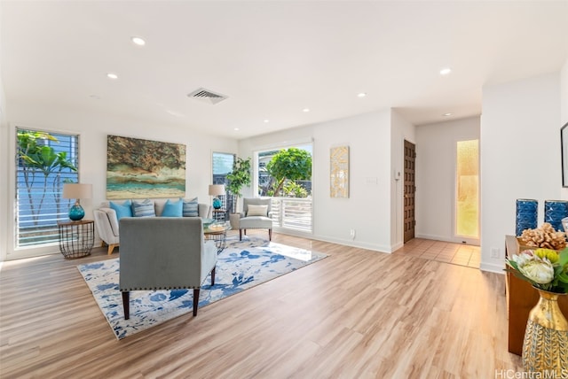 living room featuring light hardwood / wood-style floors