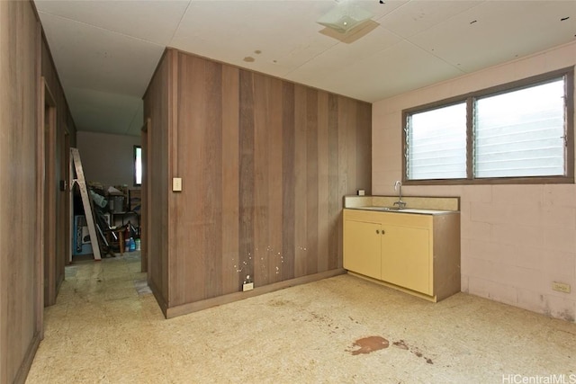 spare room with sink and wood walls