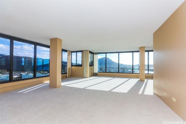 spare room featuring a healthy amount of sunlight, a mountain view, and carpet floors