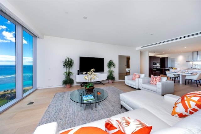 living area featuring a water view and light wood finished floors