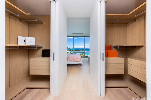 spacious closet featuring light wood-style floors