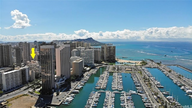 aerial view with a water view