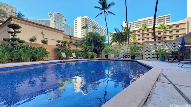 view of pool with a patio