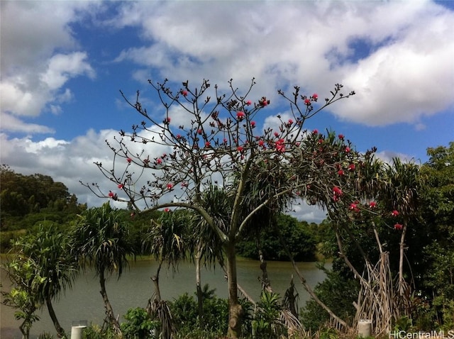 water view